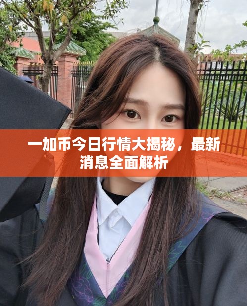 一加币今日行情大揭秘，最新消息全面解析