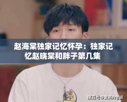 赵海棠独家记忆怀孕：独家记忆赵晓棠和胖子第几集 