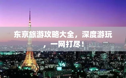 东京旅游攻略大全，深度游玩，一网打尽！