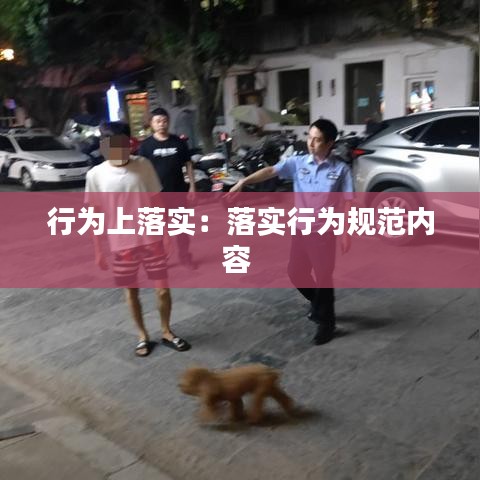 行为上落实：落实行为规范内容 