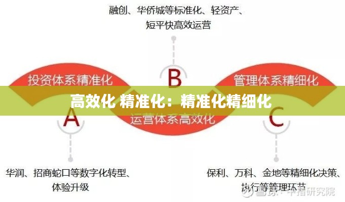 高效化 精准化：精准化精细化 
