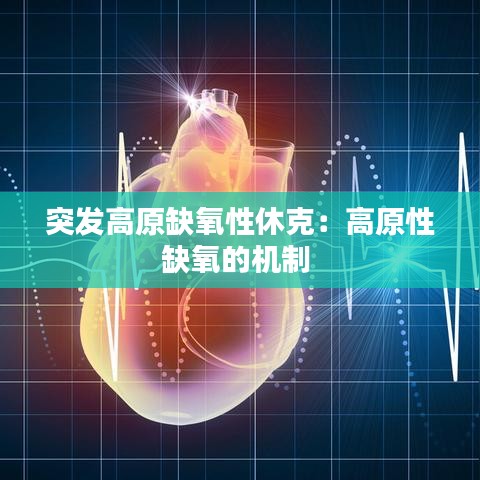 突发高原缺氧性休克：高原性缺氧的机制 