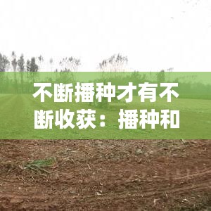 手不释卷 第2页