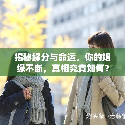 揭秘缘分与命运，你的姻缘不断，真相究竟如何？