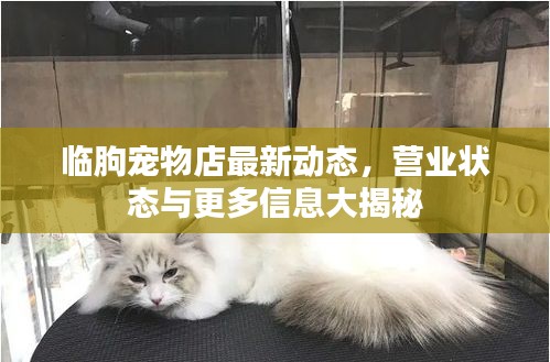 临朐宠物店最新动态，营业状态与更多信息大揭秘