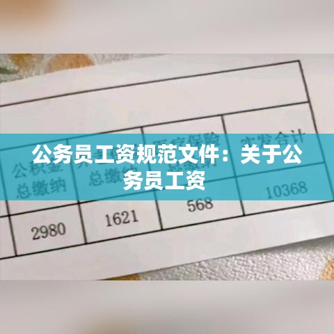 公务员工资规范文件：关于公务员工资 