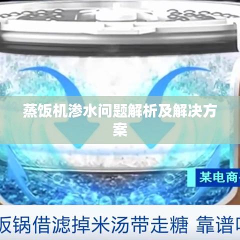 蒸饭机渗水问题解析及解决方案