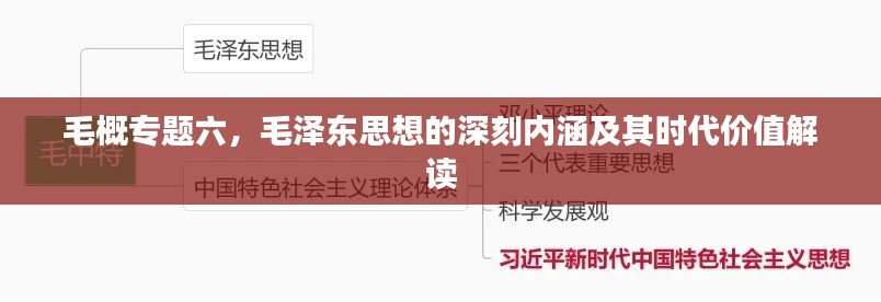 毛概专题六，毛泽东思想的深刻内涵及其时代价值解读