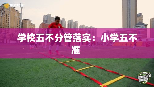 学校五不分管落实：小学五不准 