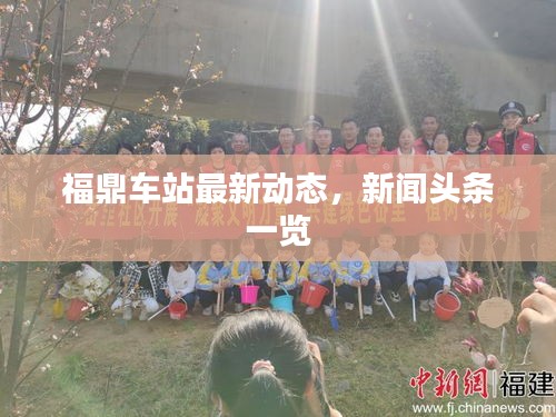 福鼎车站最新动态，新闻头条一览