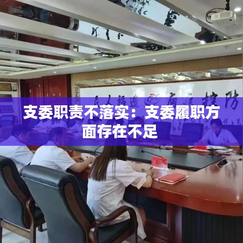 支委职责不落实：支委履职方面存在不足 