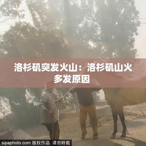 洛杉矶突发火山：洛杉矶山火多发原因 