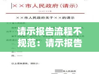 请示报告流程不规范：请示报告方面存在的问题及整改 
