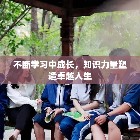 不断学习中成长，知识力量塑造卓越人生