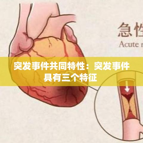 突发事件共同特性：突发事件具有三个特征 