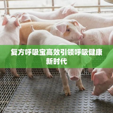 复方呼吸宝高效引领呼吸健康新时代
