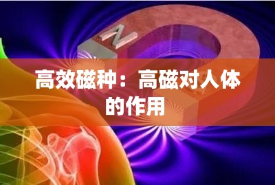 高效磁种：高磁对人体的作用 