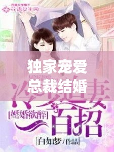 独家宠爱总裁结婚吧：独家宠婚总裁的天价宝贝免费阅读 