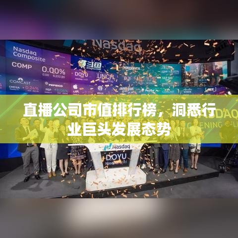 直播公司市值排行榜，洞悉行业巨头发展态势