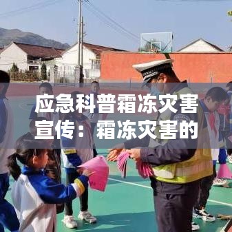 纲举目张 第2页