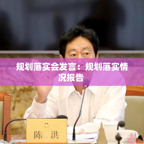 规划落实会发言：规划落实情况报告 