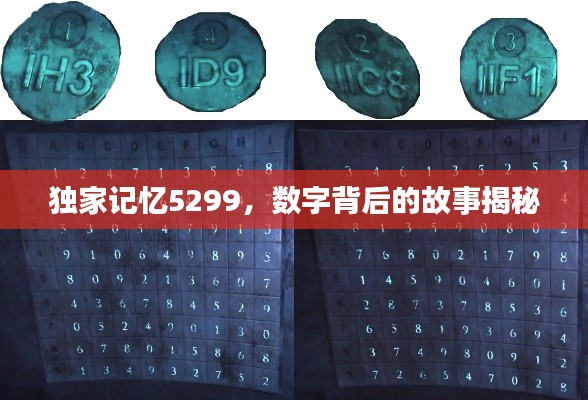 衣不完采 第2页