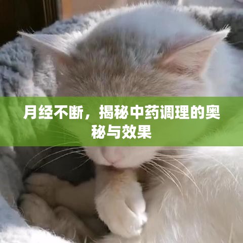 月经不断，揭秘中药调理的奥秘与效果