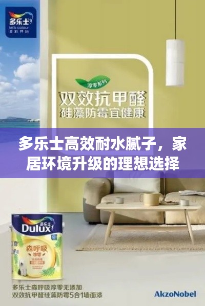 多乐士高效耐水腻子，家居环境升级的理想选择