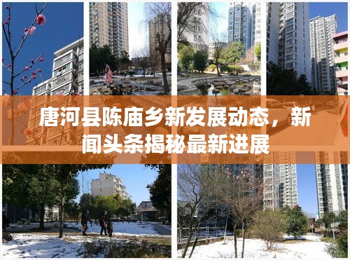 唐河县陈庙乡新发展动态，新闻头条揭秘最新进展