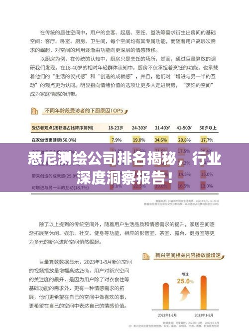 悉尼测绘公司排名揭秘，行业深度洞察报告！
