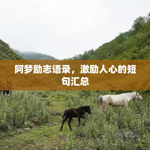 阿梦励志语录，激励人心的短句汇总
