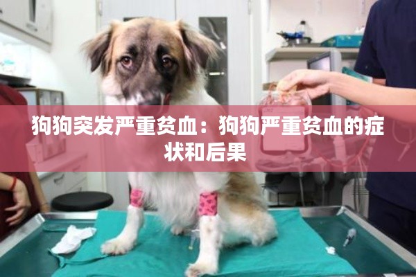 狗狗突发严重贫血：狗狗严重贫血的症状和后果 