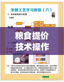 粮食提价技术操作规范详解
