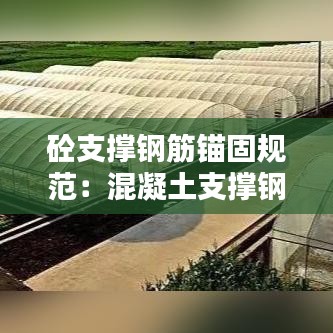 砼支撑钢筋锚固规范：混凝土支撑钢筋含量 