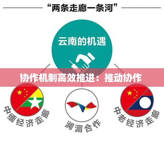 协作机制高效推进：推动协作 