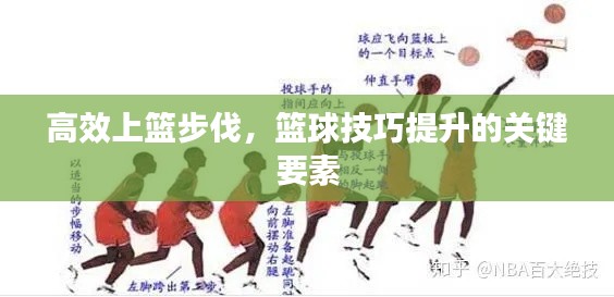高效上篮步伐，篮球技巧提升的关键要素