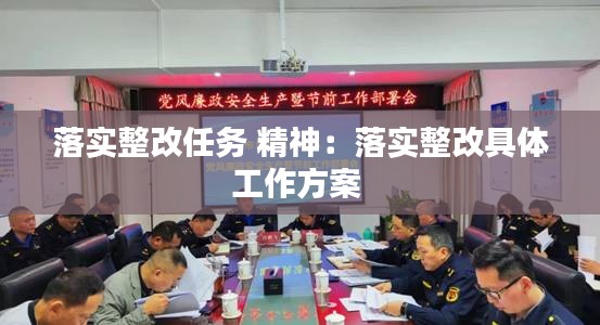 落实整改任务 精神：落实整改具体工作方案 