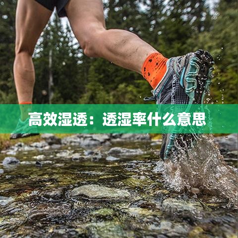 高效湿透：透湿率什么意思 