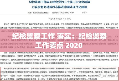 纪检监察工作 落实：纪检监察工作要点 2020 