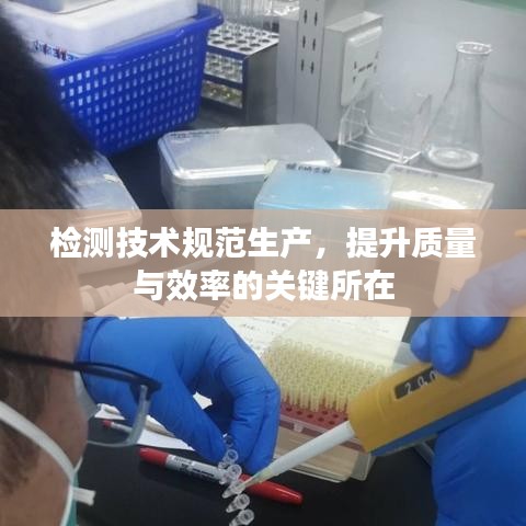 检测技术规范生产，提升质量与效率的关键所在