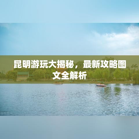 半截鸟木 第2页