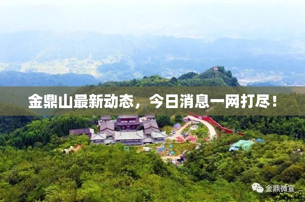 金鼎山最新动态，今日消息一网打尽！