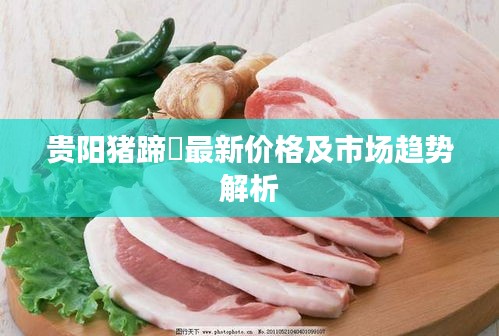 贵阳猪蹄髈最新价格及市场趋势解析
