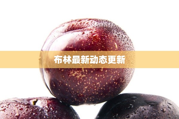 布林最新动态更新