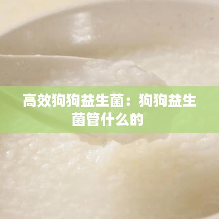 高效狗狗益生菌：狗狗益生菌管什么的 