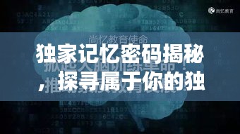 独家记忆密码揭秘，探寻属于你的独特记忆数字1454