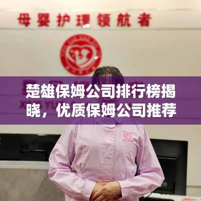 楚雄保姆公司排行榜揭晓，优质保姆公司推荐！