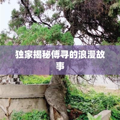独家揭秘傅寻的浪漫故事
