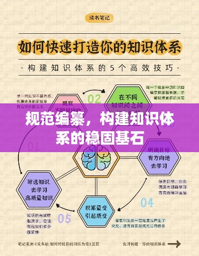 规范编纂，构建知识体系的稳固基石