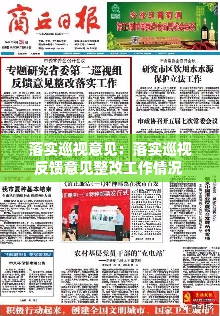 落实巡视意见：落实巡视反馈意见整改工作情况 